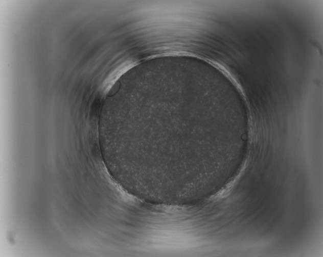 X0000100191289200806201349