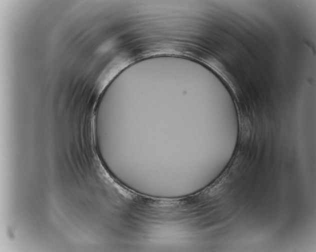X0000100191290200806201349