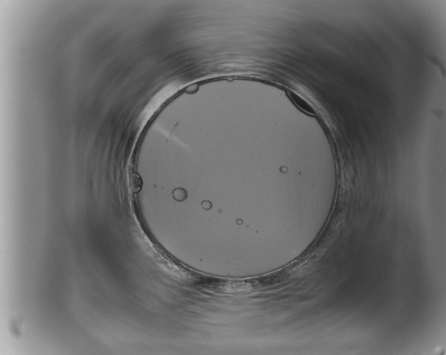 X0000100191291200806201349