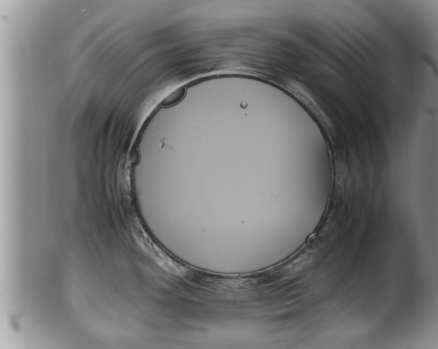 X0000100191292200806201349