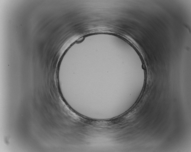 X0000100191293200806201349