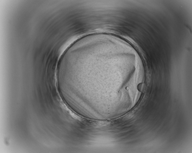 X0000100191294200806201349