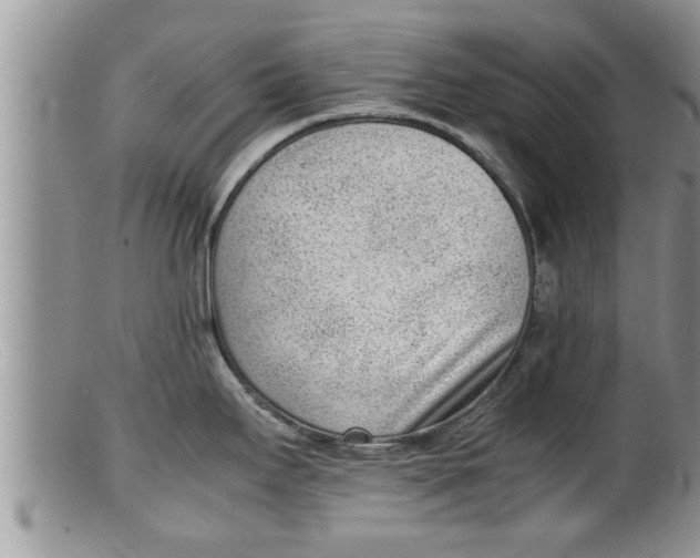 X0000100191295200806201349