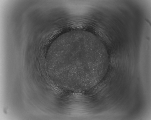 X0000100191297200806201348