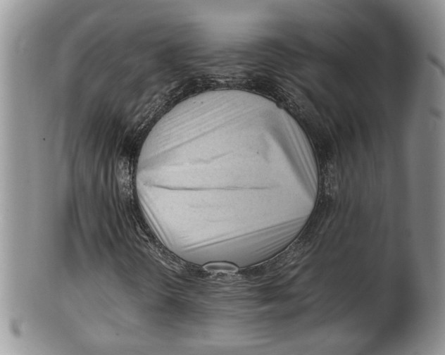 X0000100191298200806201348