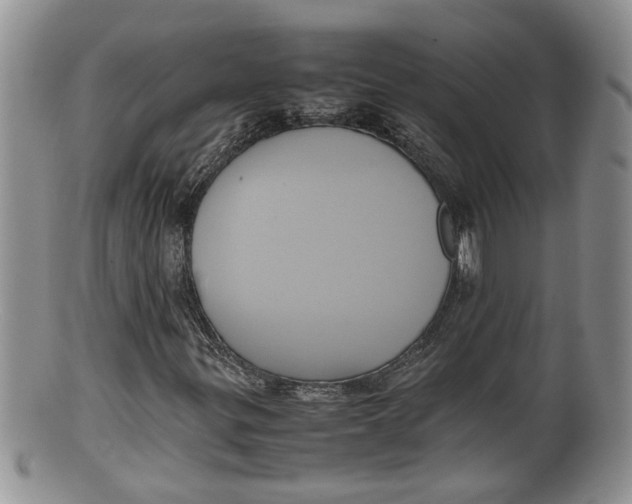 X0000100191299200806201348