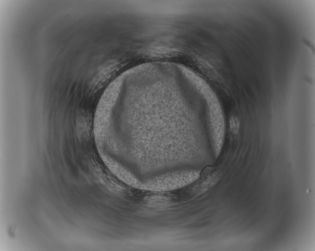 X0000100191300200806201348