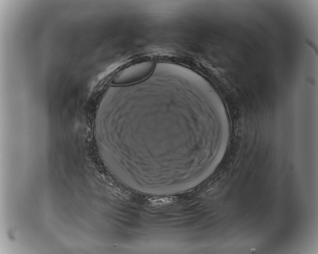 X0000100191303200806201348