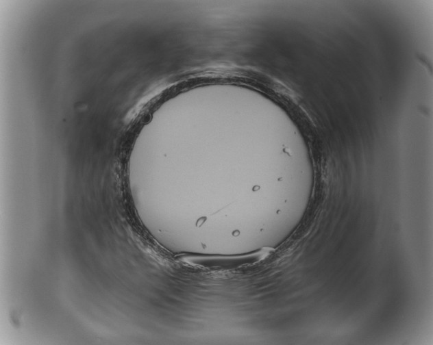 X0000100191304200806201348
