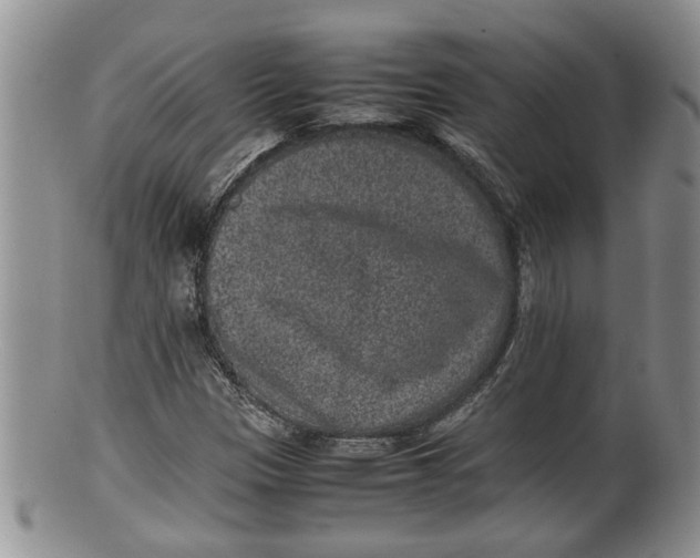 X0000100191305200806201348