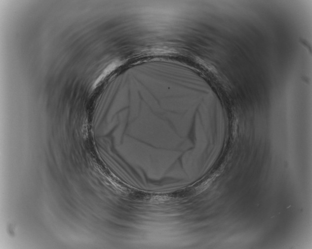 X0000100191306200806201348