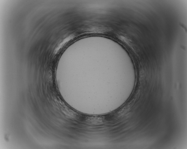 X0000100191307200806201348