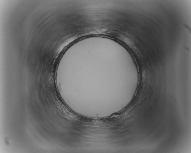 X0000100191308200806201348