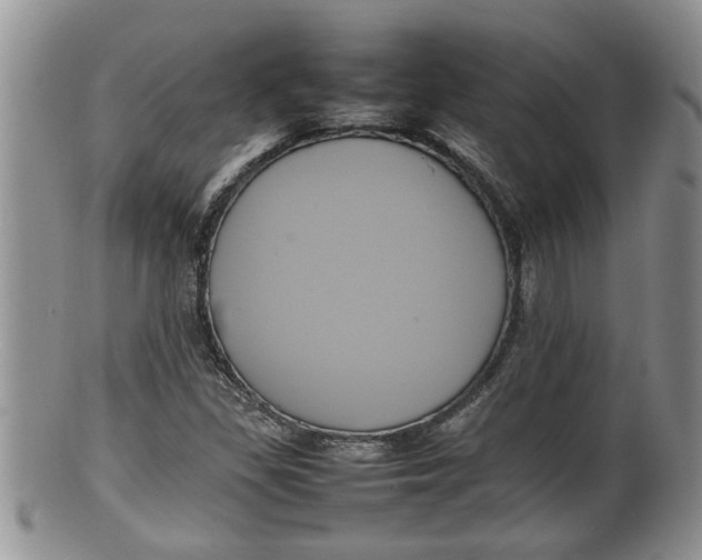 X0000100191309200806201348