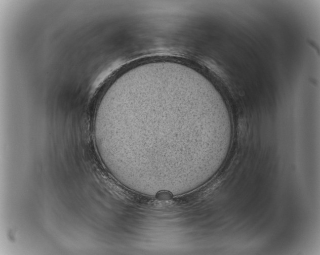 X0000100191310200806201348