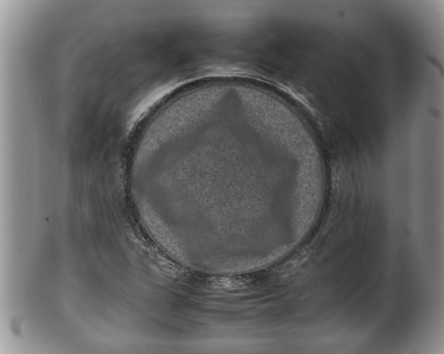 X0000100191311200806201348
