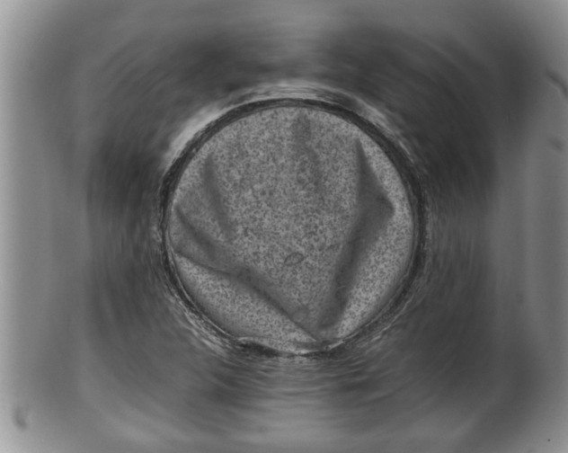 X0000100191312200806201348