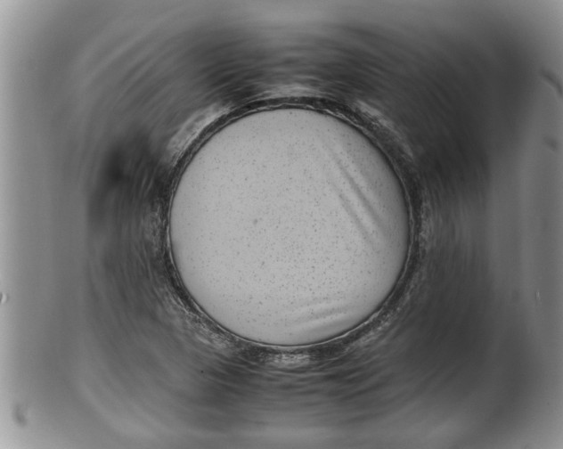 X0000100191313200806201348