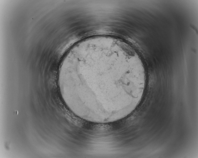 X0000100191314200806201348