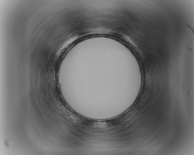 X0000100191315200806201348