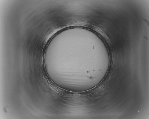 X0000100191316200806201348