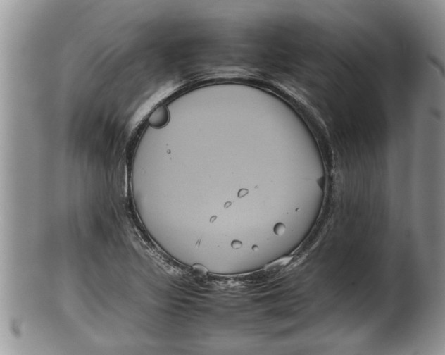 X0000100191317200806201348