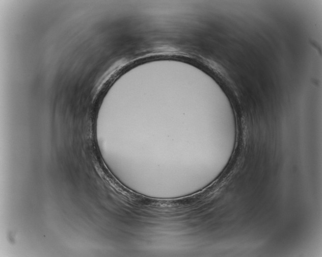 X0000100191318200806201348