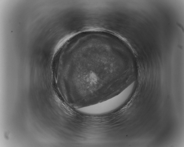 X0000100191319200806201348