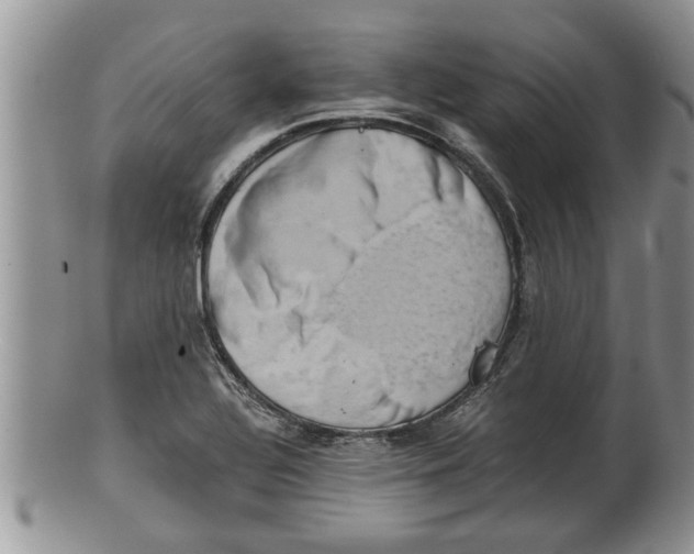 X0000100191320200806201348