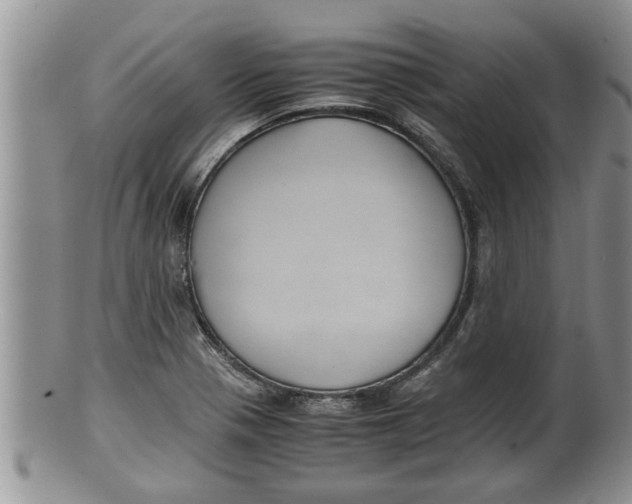X0000100191321200806201348