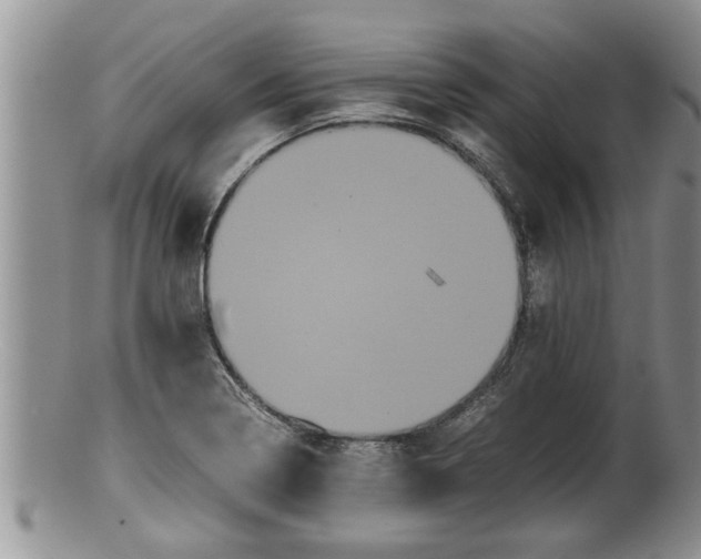 X0000100191322200806201348