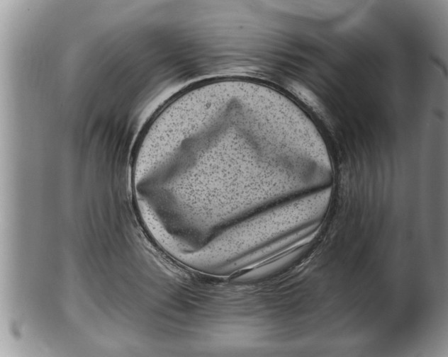 X0000100191324200806201348