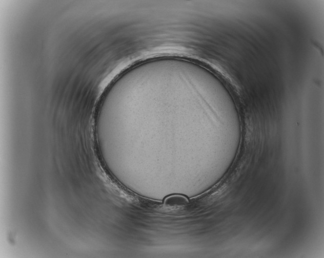 X0000100191325200806201348