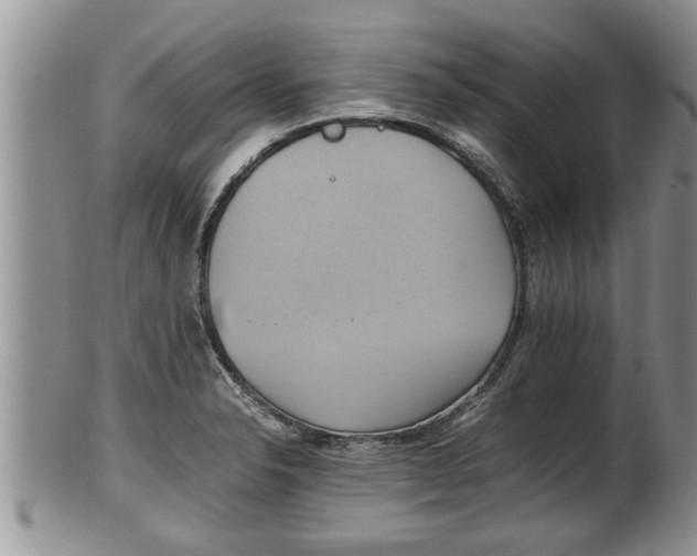 X0000100191326200806201348