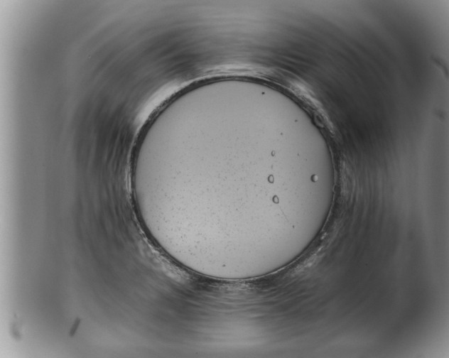 X0000100191328200806201348