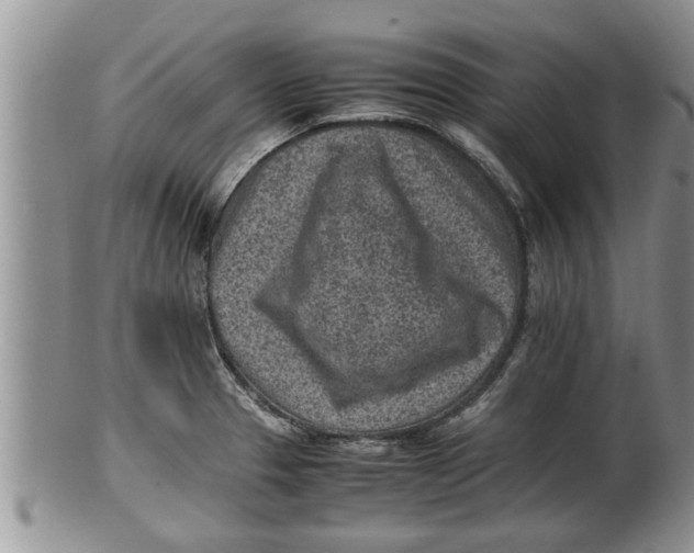 X0000100191329200806201348