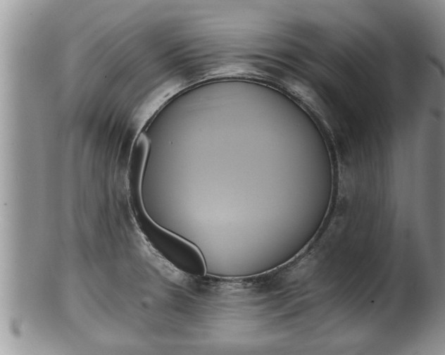 X0000100191330200806201348