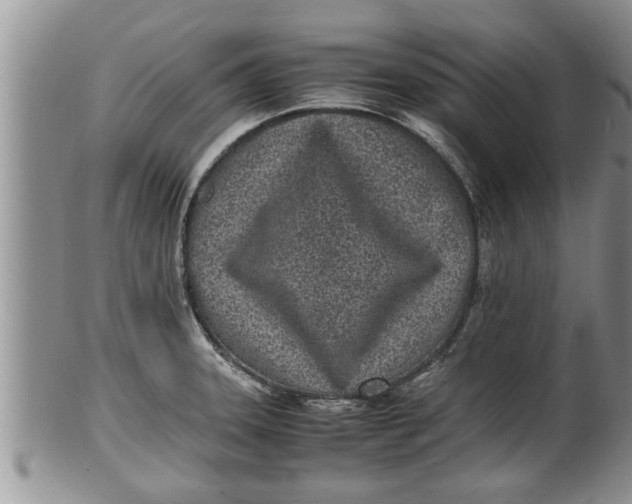 X0000100191331200806201348