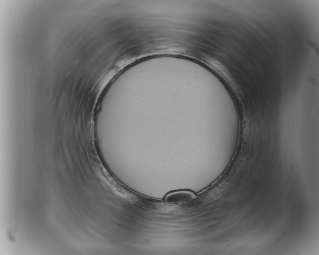 X0000100191332200806201349