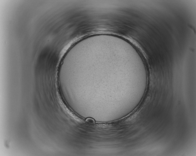 X0000100191333200806201349