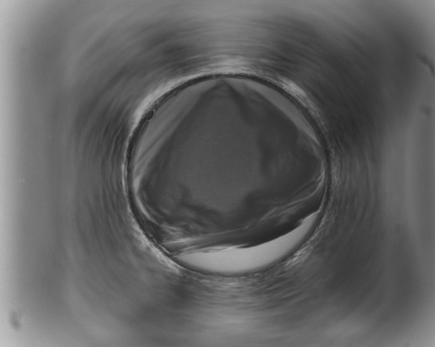 X0000100191334200806201349