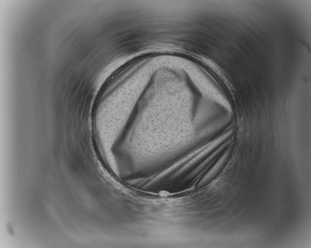 X0000100191335200806201349
