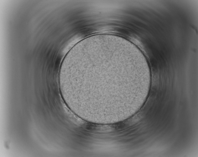 X0000100191338200806201349