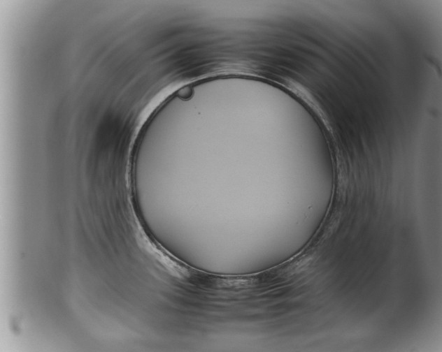 X0000100191339200806201349