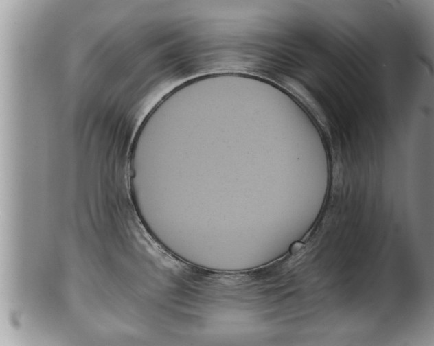 X0000100191340200806201349