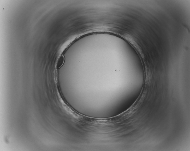 X0000100191342200806201349