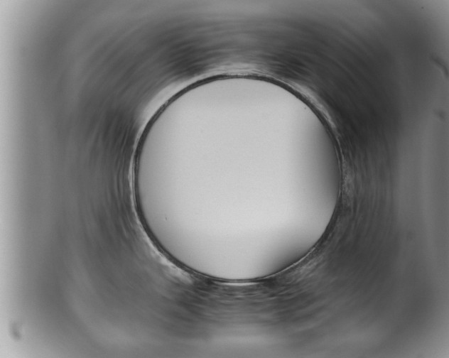 X0000100191343200806201349