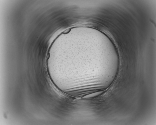 X0000100191344200806201349