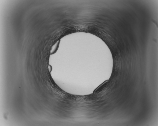 X0000100191345200806201348
