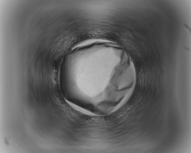 X0000100191346200806201348